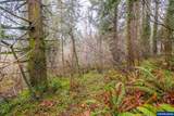 3697 Croisan Creek Rd - Photo 40