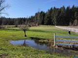 12797 Kings Valley - Photo 34