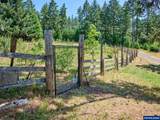 20351 Meadow Lake Rd - Photo 32