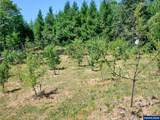 20351 Meadow Lake Rd - Photo 33