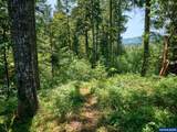 20351 Meadow Lake Rd - Photo 35