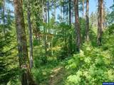 20351 Meadow Lake Rd - Photo 36