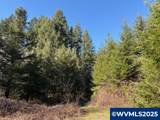 0 Steer Creek - Photo 12