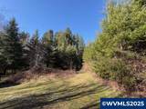 0 Steer Creek - Photo 13