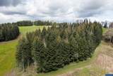 92884 Applegate Trail - Photo 18