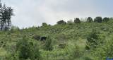 48232 Westoak Rd - Photo 24