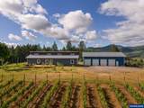 12000 Old Wagon Rd - Photo 13