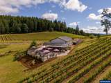12000 Old Wagon Rd - Photo 34