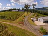 12000 Old Wagon Rd - Photo 9