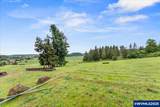 10073 Maple Grove Rd - Photo 28