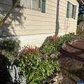 731 Sunset Ct - Photo 28