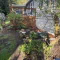 731 Sunset Ct - Photo 29