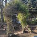 731 Sunset Ct - Photo 31