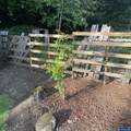 731 Sunset Ct - Photo 37
