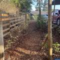 731 Sunset Ct - Photo 38