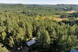 41294 Keel Mountain North Dr - Photo 42