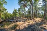 Parcel 2 Kings Valley - Photo 26