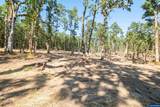 Parcel 2 Kings Valley - Photo 28