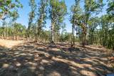 Parcel 2 Kings Valley - Photo 34