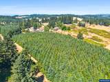 Lot 900 Everett - Photo 11