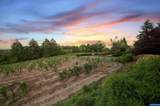 300 Reuben Boise Rd - Photo 47