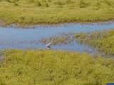 Lot 5332 Duck Club - Photo 12
