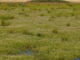 Lot 5332 Duck Club - Photo 18