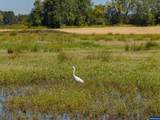 Lot 5332 Duck Club - Photo 20
