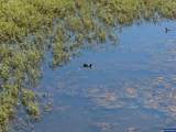 Lot 5332 Duck Club - Photo 24