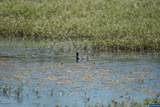 Lot 5332 Duck Club - Photo 26