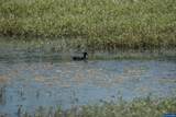 Lot 5332 Duck Club - Photo 28