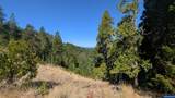 900 Old Cabin Dr - Photo 4