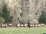 Next to 26140 Alsea Deadwood - Photo 31