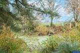 33125 White Oak (#36) - Photo 39