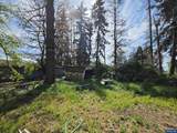 3910 Santiam Hwy - Photo 7
