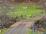 9740 Upper Olalla Rd - Photo 28