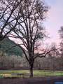 9740 Upper Olalla Rd - Photo 42