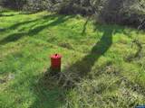 26622 Fudge Rd - Photo 10