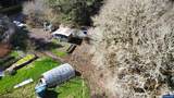 26622 Fudge Rd - Photo 2