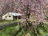26622 Fudge Rd - Photo 21