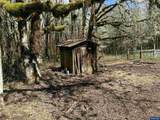 26622 Fudge Rd - Photo 8