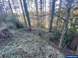 1810 Alta Vista - Photo 1