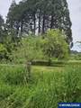 10195 Sweet Creek Rd - Photo 2