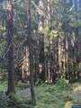 18 Marion Lake Rd - Photo 13