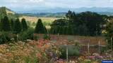 26191 Bruce Rd - Photo 26
