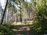  N Santiam - Photo 16