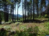  N Santiam - Photo 20
