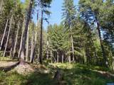  N Santiam - Photo 40
