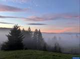 18101 Willamina Creek Rd - Photo 42