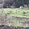 18101 Willamina Creek Rd - Photo 45